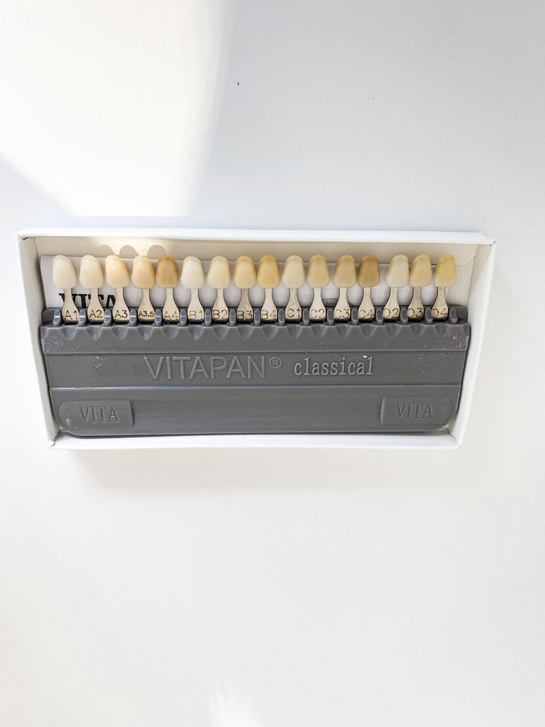MUESTRARIO DE COLORES VITA 