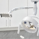 sftym1argentina d.jpg