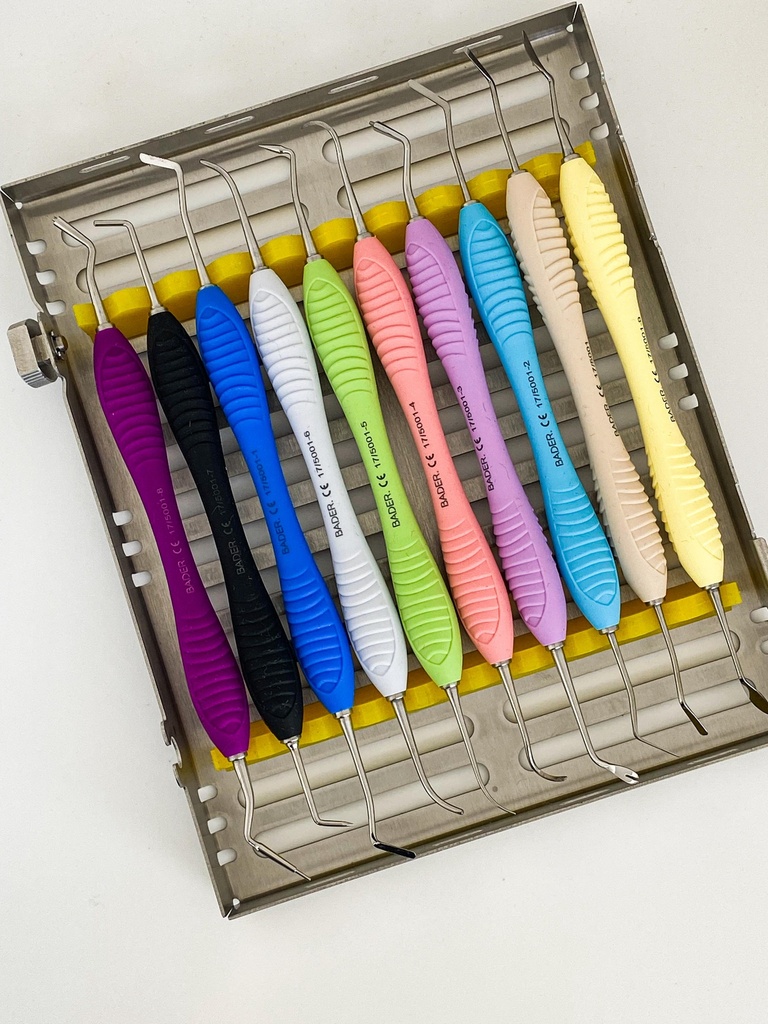 KIT DE 10 ESPATULAS CON CASETE METALICO