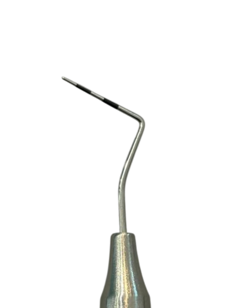 SONDA MARQUIS