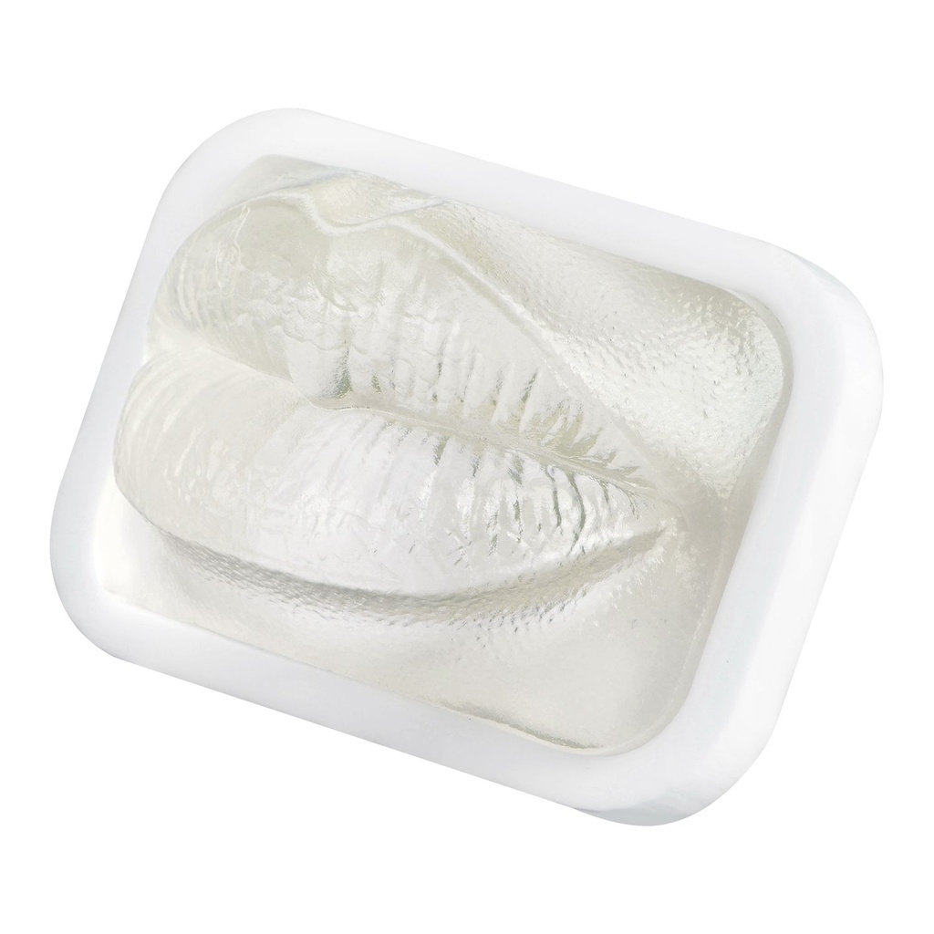 MODELO DE PRÁCTICA LABIO TRANSPARENTE