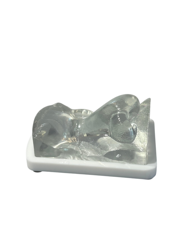 MODELO DE PRÁCTICA NARIZ TRANSPARENTE