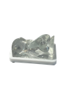 MODELO DE PRÁCTICA NARIZ TRANSPARENTE