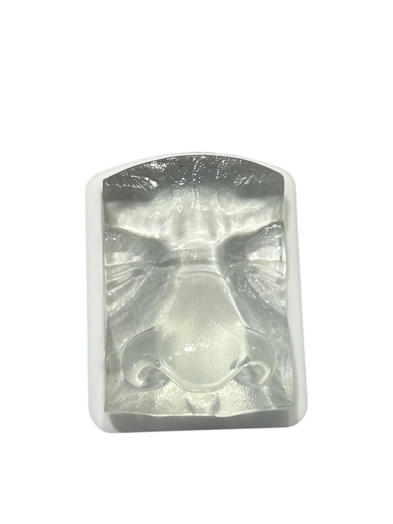 MODELO DE PRÁCTICA NARIZ TRANSPARENTE