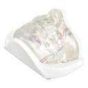 MODELO FACIAL PARCIAL INFERIOR DE SILICONA TRANSPARENTE PARA PRÁCTICAS DE INYECCIÓN