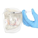 MODELO FACIAL PARCIAL INFERIOR DE SILICONA TRANSPARENTE PARA PRÁCTICAS DE INYECCIÓN