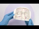 MODELO FACIAL PARCIAL SUPERIOR DE SILICONA TRANSPARENTE PARA PRÁCTICAS DE INYECCIÓN