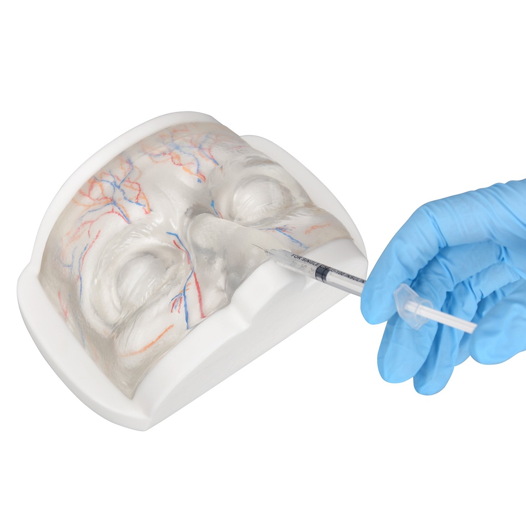 MODELO FACIAL PARCIAL SUPERIOR DE SILICONA TRANSPARENTE PARA PRÁCTICAS DE INYECCIÓN