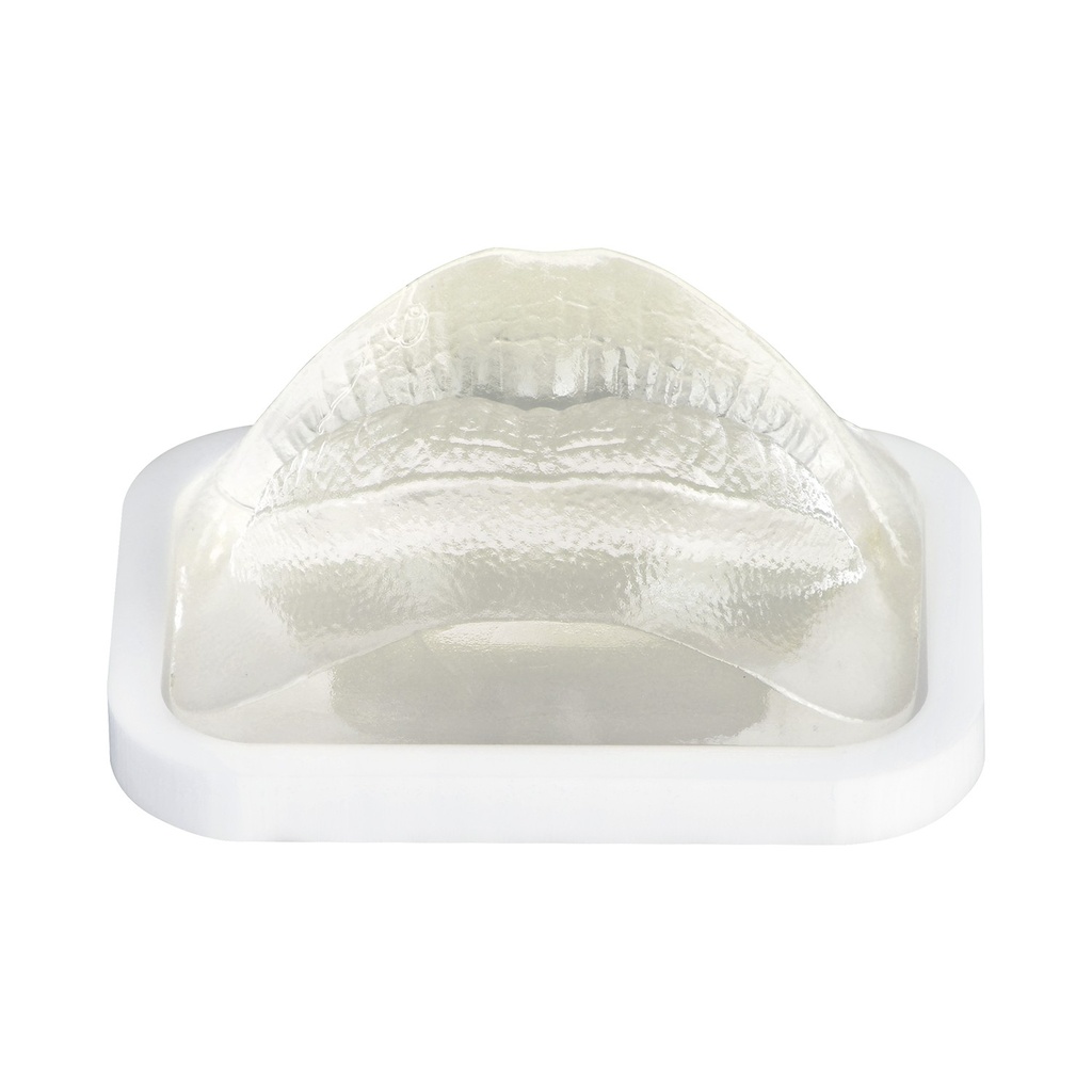 MODELO DE PRÁCTICA LABIO TRANSPARENTE