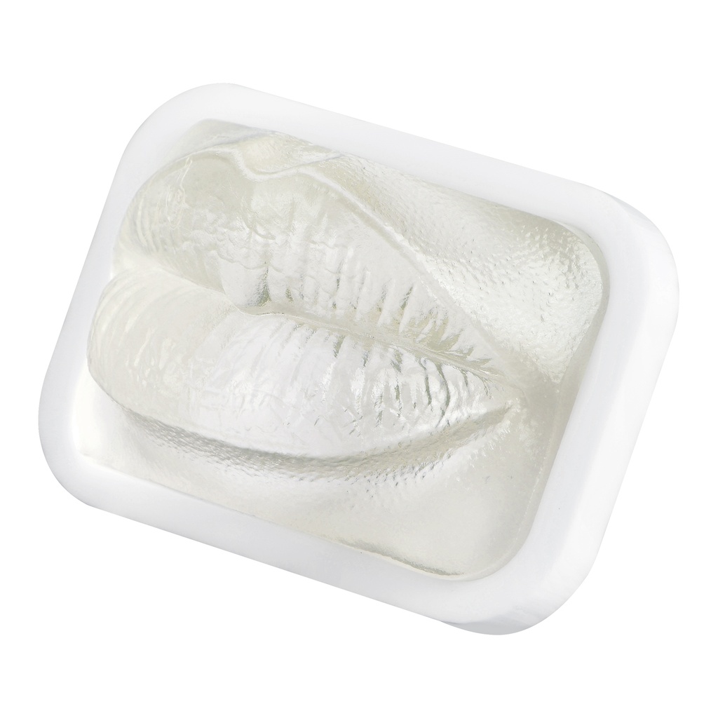 MODELO DE PRÁCTICA LABIO TRANSPARENTE