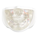 MODELO FACIAL PARCIAL INFERIOR DE SILICONA TRANSPARENTE PARA PRÁCTICAS DE INYECCIÓN