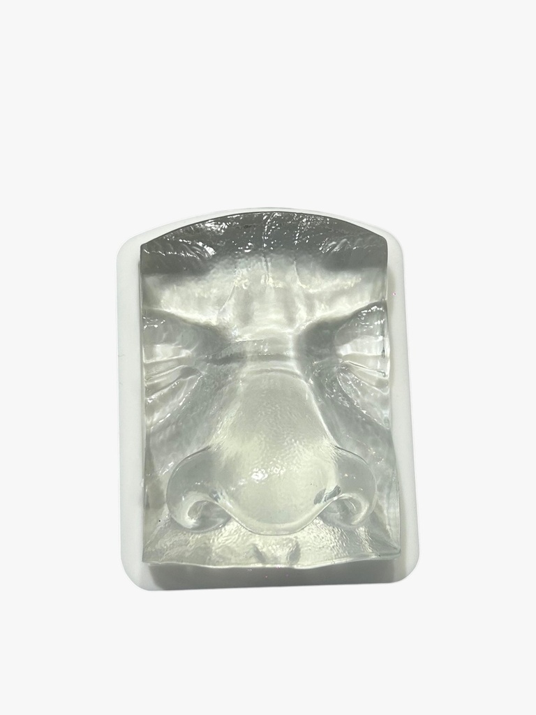 MODELO DE PRÁCTICA NARIZ TRANSPARENTE