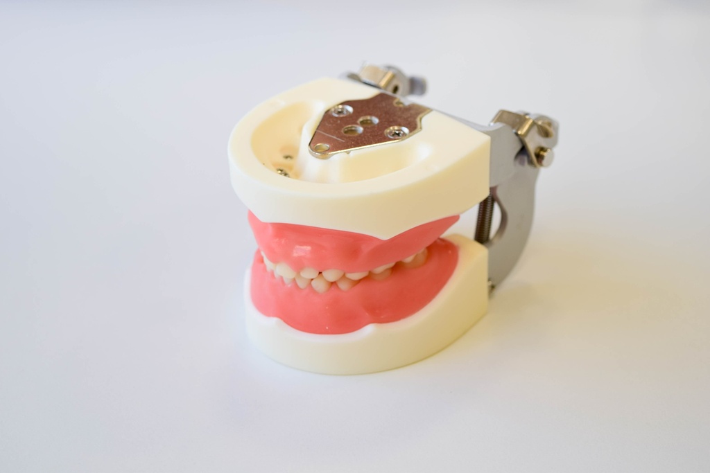 TIPODONTO TIPO NISSIN PEDIÁTRICO