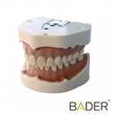 TIPODONTO CLONICO FRASACO ANA-4 COMPATIBLE