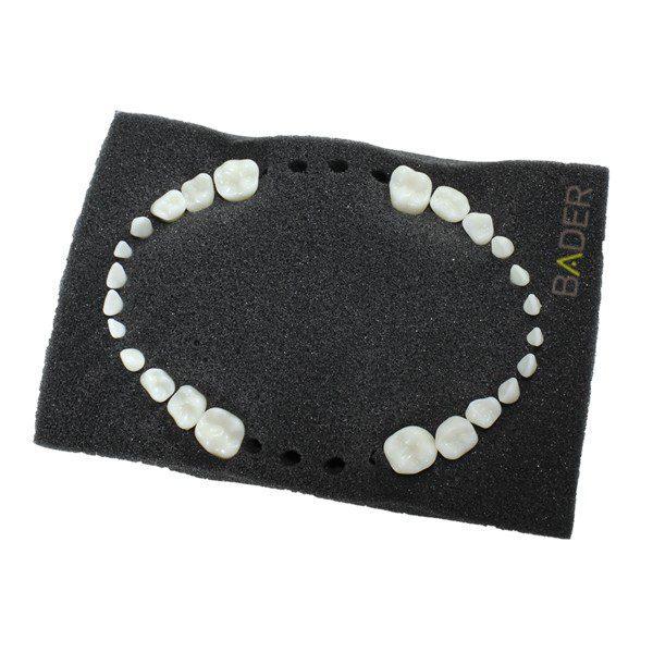 SET 32 DIENTES REPOSICIÓN PARA TIPODONTO NISSIN ADULTO