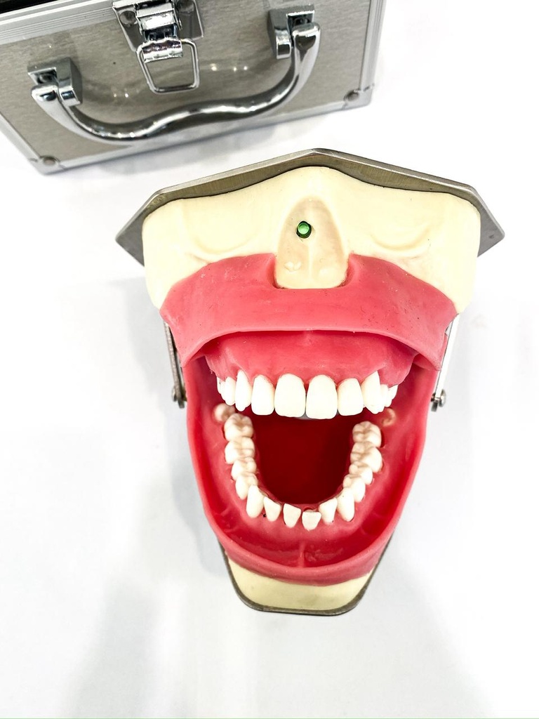 SIMULADOR DE ANESTESIA