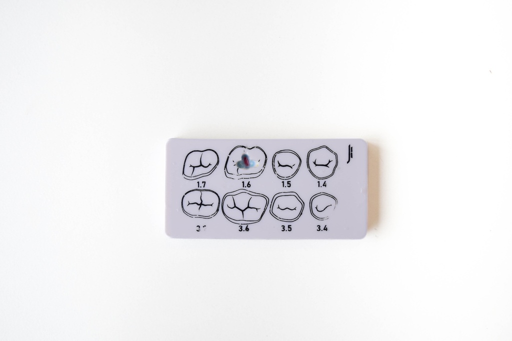 PLACA DE PRÁCTICAS PARA OPERATORIA