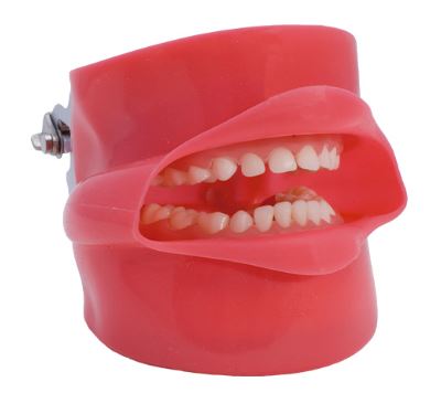 [0904004] TIPODONTO COMPLETO CON CARRILLO Y DRENAJE PARA FANTOMA SIMPLICITY