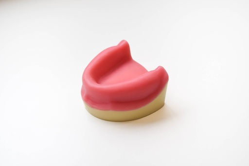 [0905142-2] MODELO EDÉNTULO PARA PRÁCTICA DE IMPLANTES ARCADA COMPLETA CON ENCÍA