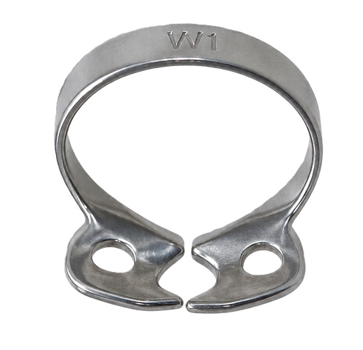 [17/5044] CLAMP W1