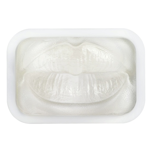 [0905166] MODELO DE PRÁCTICA LABIO TRANSPARENTE