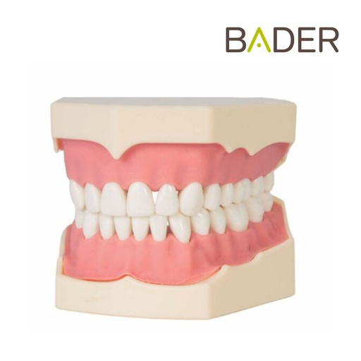 [0905000UD] TIPODONTO CLONICO FRASACO AG-3 ADULTO