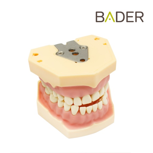 [0905000] TIPODONTO CLONICO FRASACO 32 DIENTES - AG3